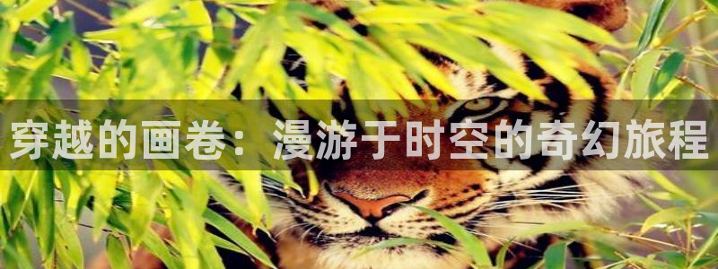 第一大弟子韩漫免费看：穿越的画卷：漫游于时空的奇幻旅程