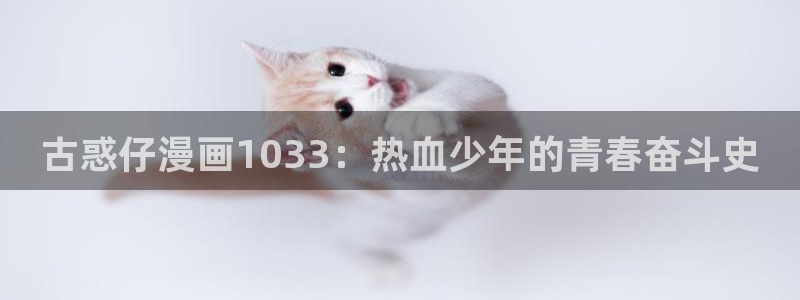 韩漫画在线免费漫画入口：古惑仔漫画1033：热血少年的青春奋斗史