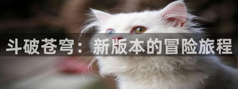 韩漫下拉式漫画免费观看：斗破苍穹：新版本的冒险旅程