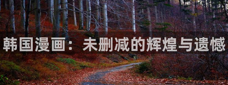 歪歪漫画韩漫免费：韩国漫画：未删减的辉煌与遗憾