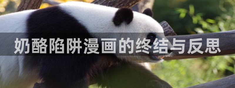是谁偷上的他韩漫免费观看：奶酪陷阱漫画的终结与反思