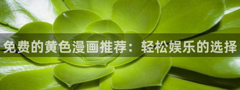 继母韩漫在线观看：免费的黄色漫画推荐：轻松娱乐的选择